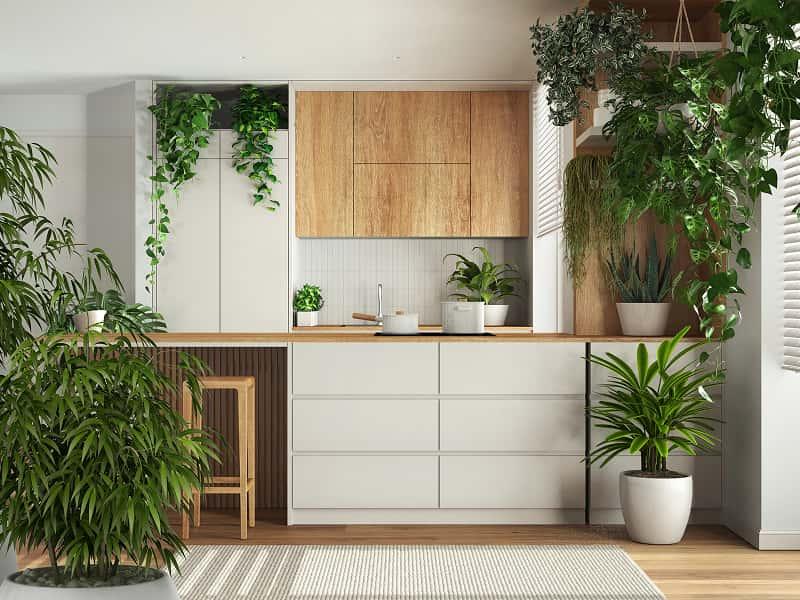 Create Indoor Outdoor Conections With Biophilic Design In Va